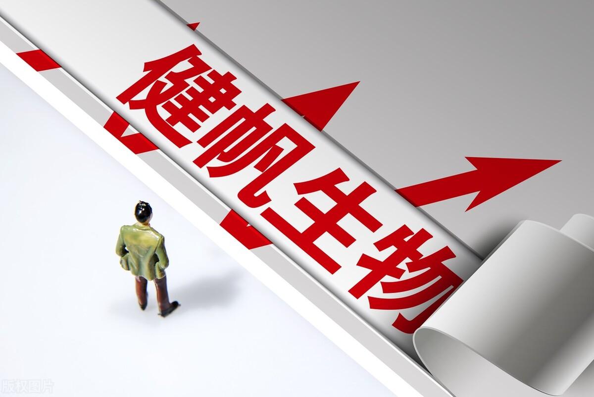 探索股票分紅的小巷寶藏店，投資與回報之路