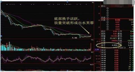 換手率高的股票背后的故事，揭示日常趣味與深意