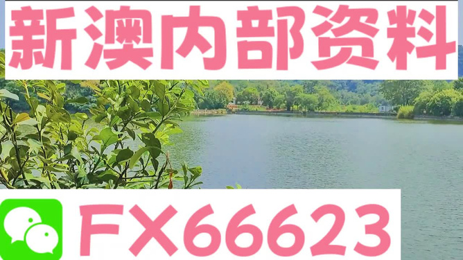 ＂新澳精準(zhǔn)資料免費提供網(wǎng)站＂的：靈活性執(zhí)行方案_溫馨版3.17