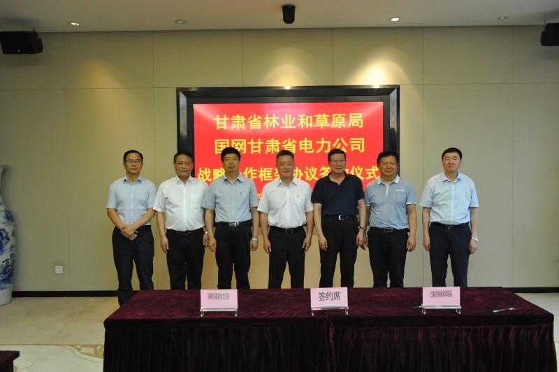 甘肅林業(yè)改革動(dòng)態(tài)更新深度解析，最新進(jìn)展與影響探究