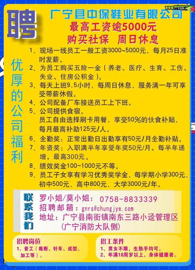 普寧流沙深處尋找特色小店司機(jī)，駕駛奇遇啟幕