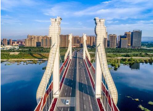 大洛陽最新資訊概覽