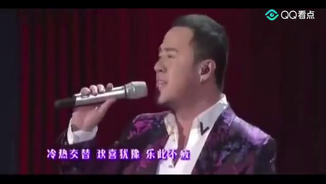 火歌最新，小巷深處的獨(dú)特音符