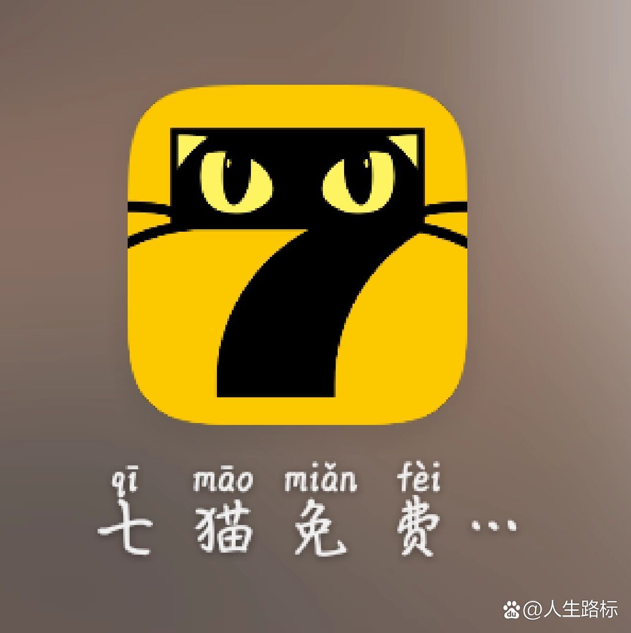 七貓最新，現(xiàn)代養(yǎng)貓新趨勢與知識探索