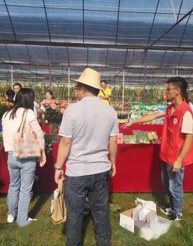 通海最新服務，溫馨日常故事啟程的起點