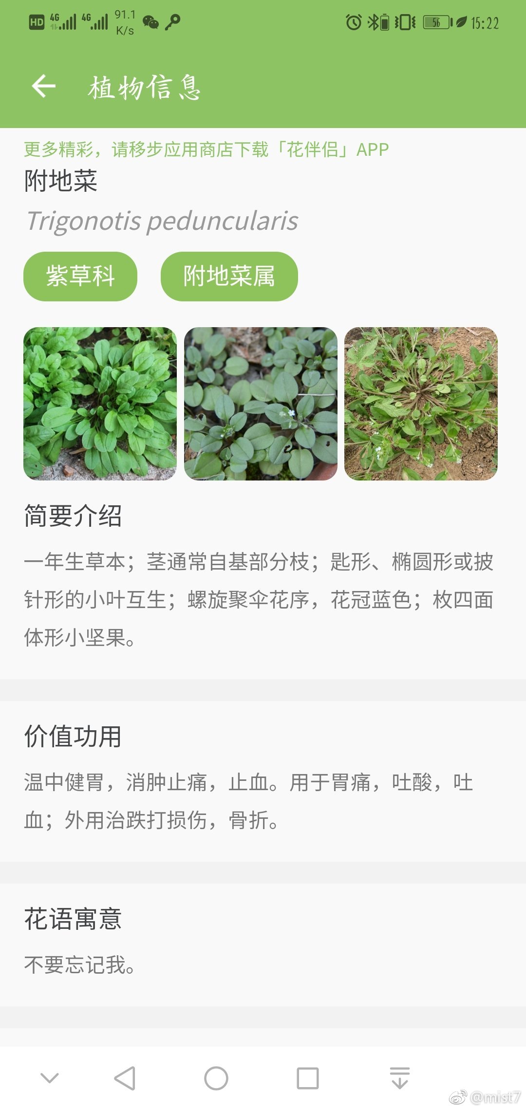最新地霍，觀點的碰撞與探討盛會