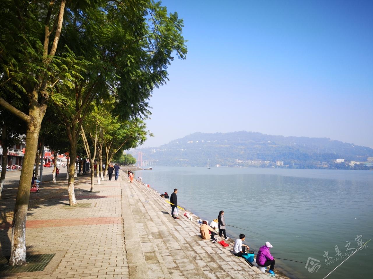 忠縣之家最新版下載，探索自然美景，尋找內(nèi)心平和之旅