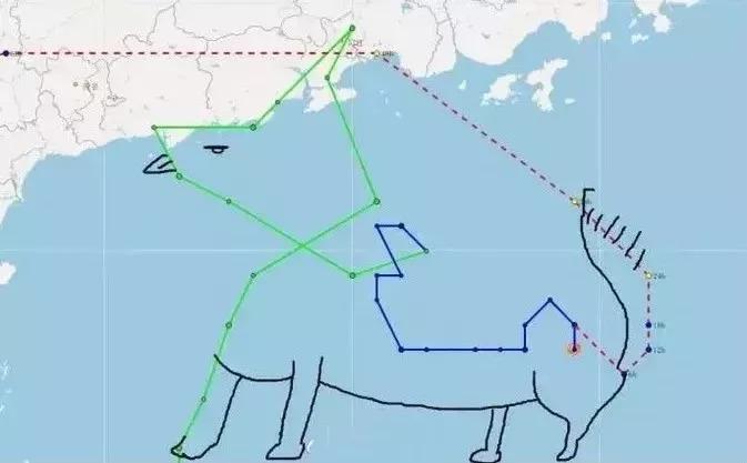 雷州臺(tái)風(fēng)最新消息，夏日故事中的溫情與風(fēng)雨同行