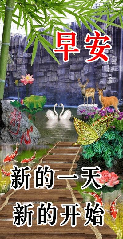 最新早安問候圖片帶字及其制作指南