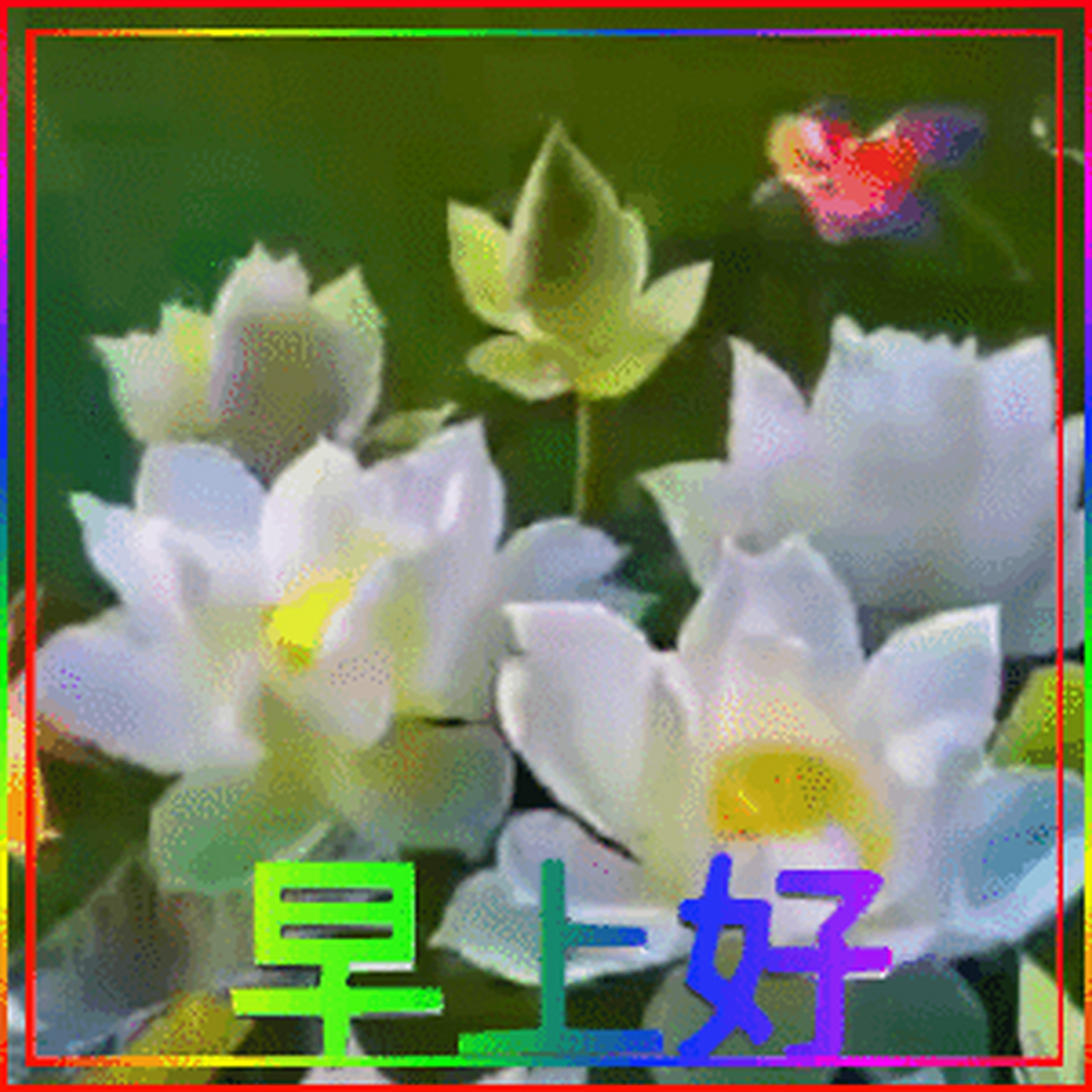 最新早上好動(dòng)態(tài)表情，開(kāi)啟溫馨的每日問(wèn)候之旅